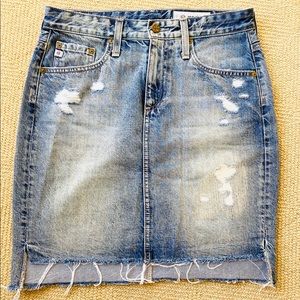 NWT AG “The Erin” Pencil Skirt - size 26